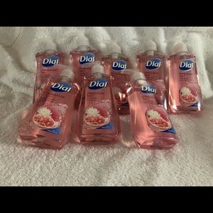 Dial Himalayan Pink Salt Hand Soap 8pk